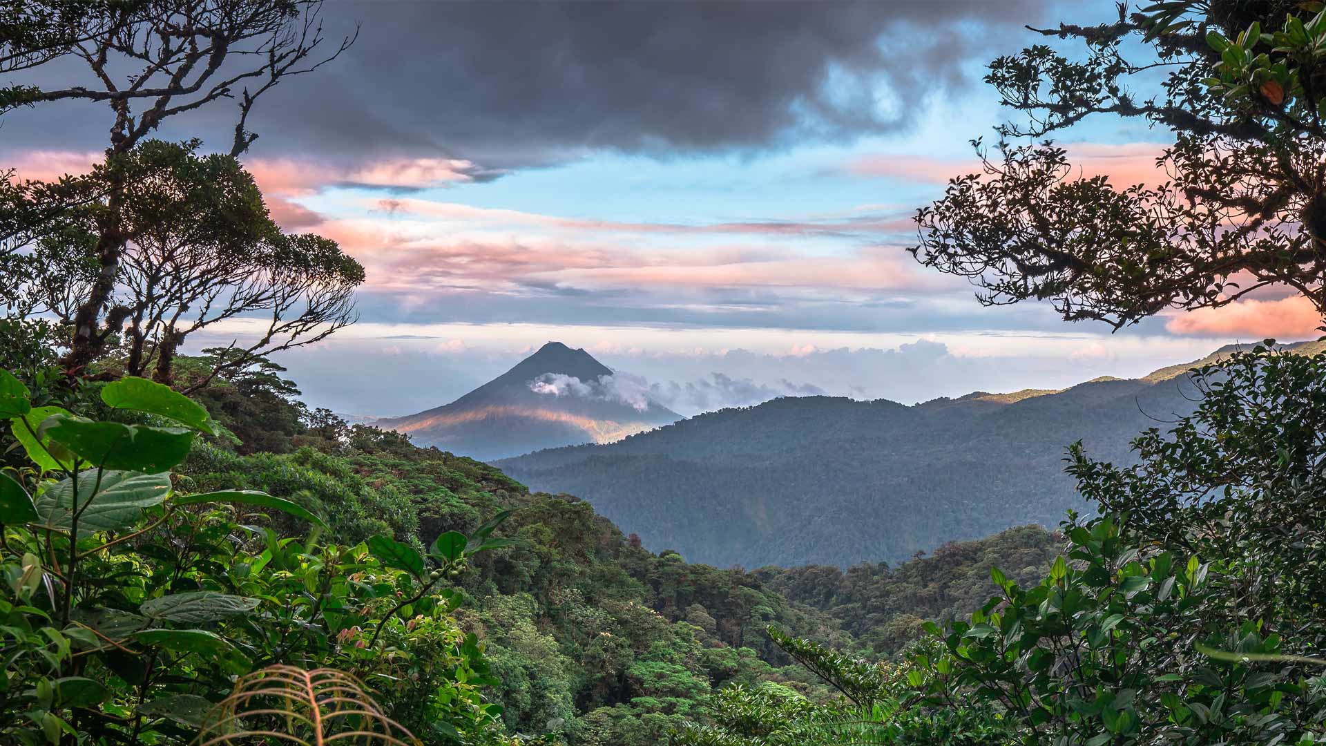 为了每个人，保护地球的生物多样性|阿雷纳尔火山，蒙泰韦尔德，哥斯达黎加 |© Kevin Wells/Getty Images