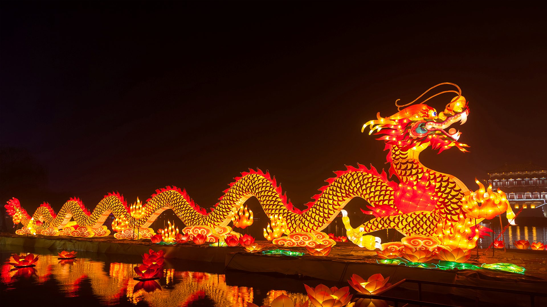 祝除夕团圆，新年顺遂！|庆祝春节的龙形灯笼，中国西安 |© Pan Hong/Getty Images