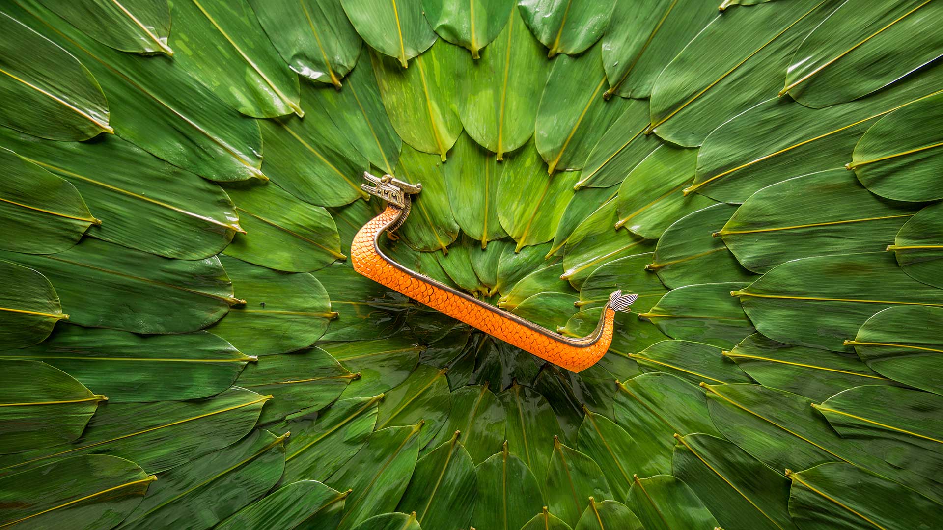 仲夏端午|中国传统节日端午节 |© timekeep/Shutterstock