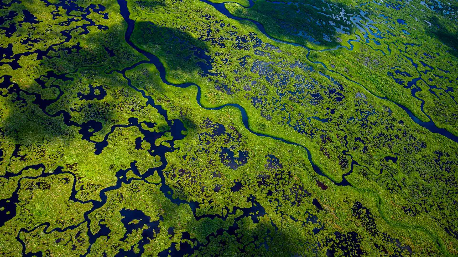 顺流而行|大沼泽地国家公园航拍景观，佛罗里达州，美国 |© Tetra Images/Getty Images