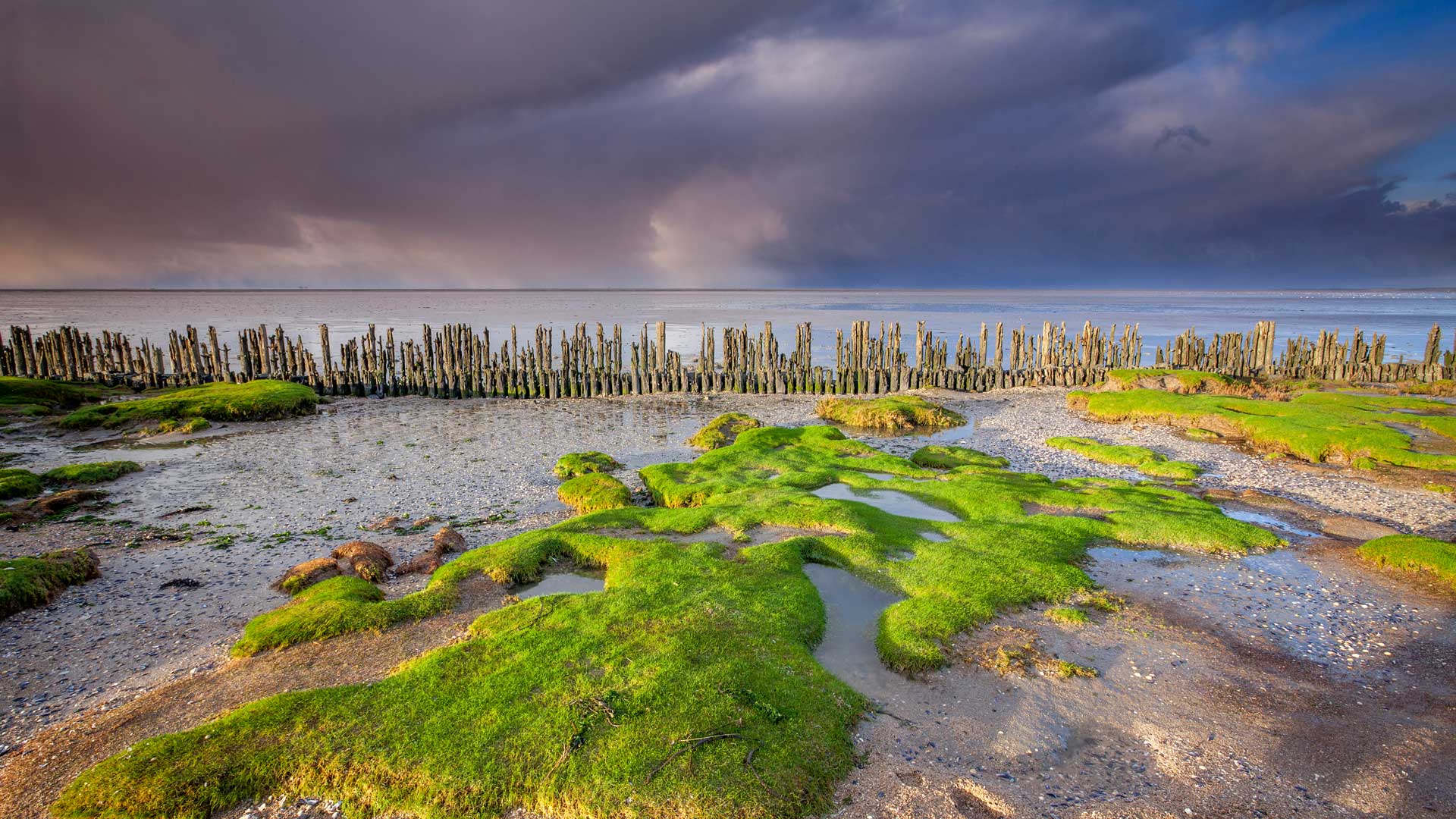 泥土、大海和天空|瓦登海沿岸，莫德加特附近，弗里斯兰，荷兰 |© Ron ter Burg/Minden Pictures