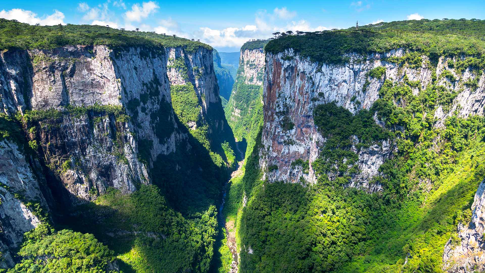 在大自然中漫步|Itaimbezinho峡谷，巴西 |© NidoHuebl/Getty Images