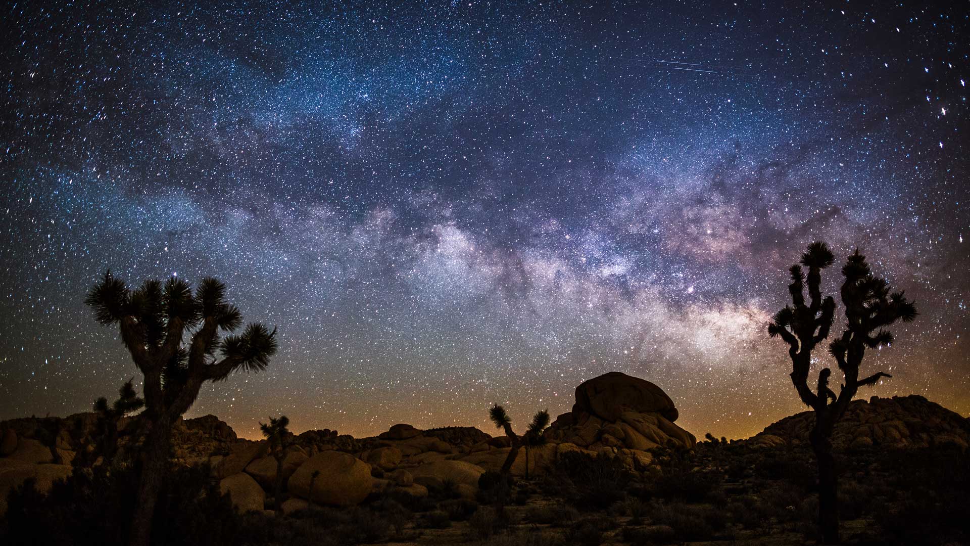 沙漠上空的星海|约书亚树国家公园上空的银河，美国加利福尼亚州 |© Schroptschop/Getty Images