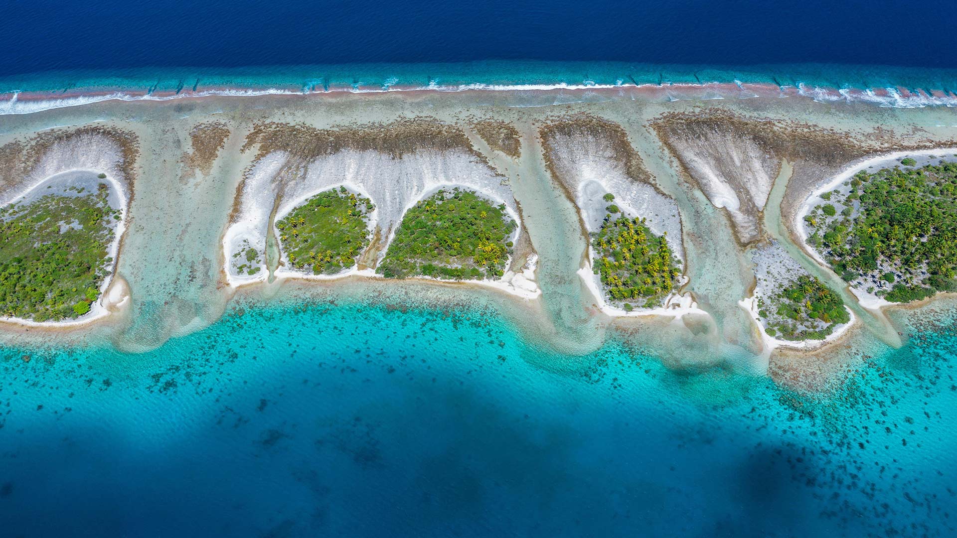 海洋生命的律动|埃希环礁，土阿莫土群岛，法属波利尼西亚 |© WaterFrame_dpr/Alamy