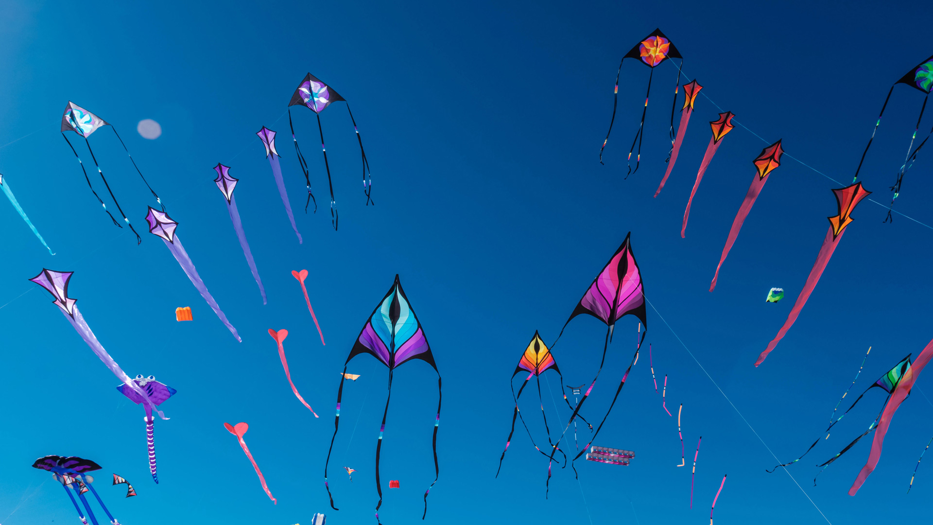 去放风筝吧！|阿德莱德国际风筝节，澳大利亚 |© Andrey Moisseyev/Alamy