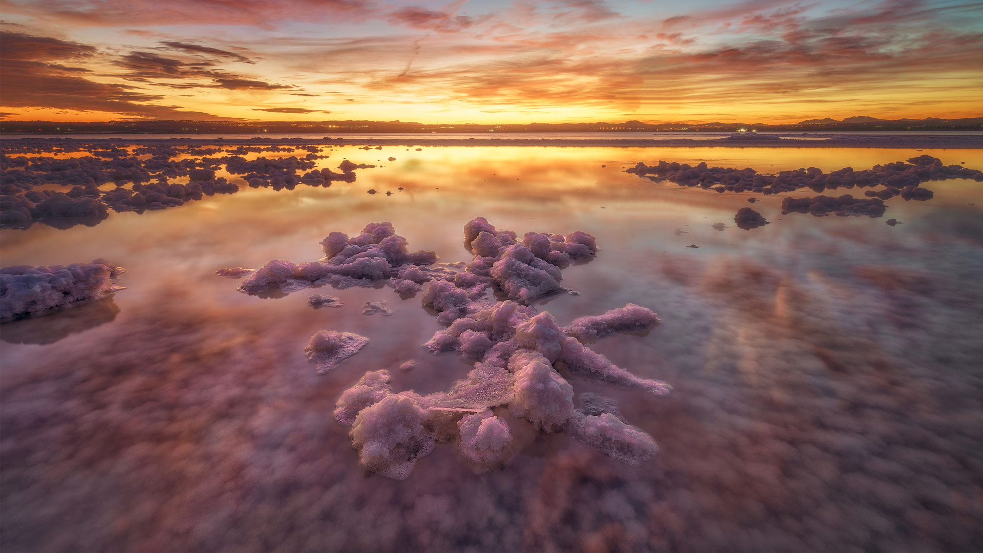 粉红色，很好看|托雷维耶哈潟湖，阿利坎特，西班牙 |© Juan Maria Coy Vergara/Getty Images
