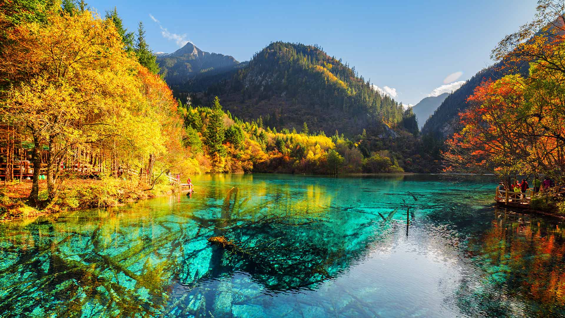 恍若童话世界，胜似人间仙境|五花海，阿坝九寨沟旅游景区，四川省，中国 |© Michael Ver Sprill/Getty Images