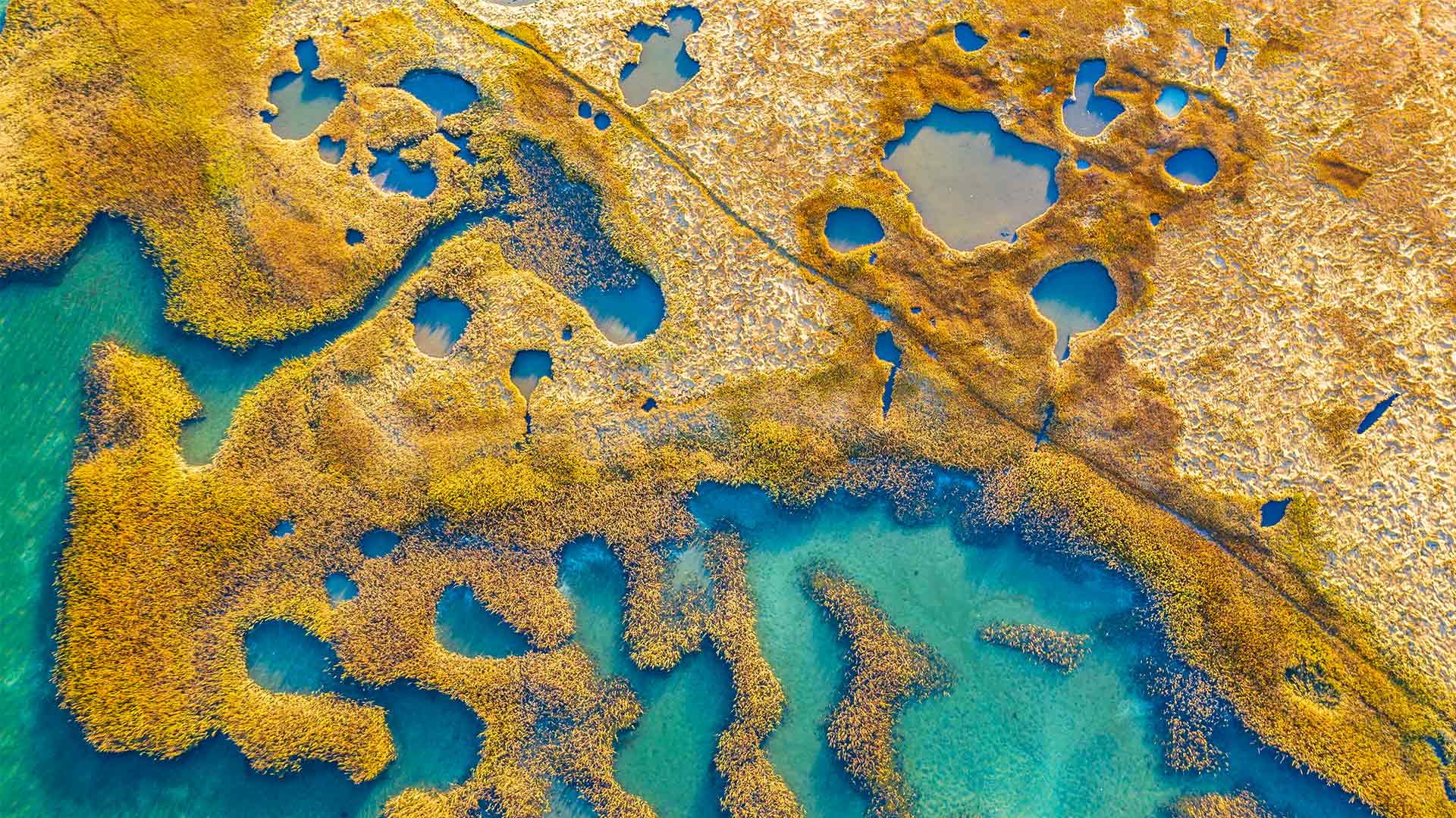像一张油画|马萨诸塞州格洛斯特的沼泽地 |© Thomas H. Mitchell/Getty Images
