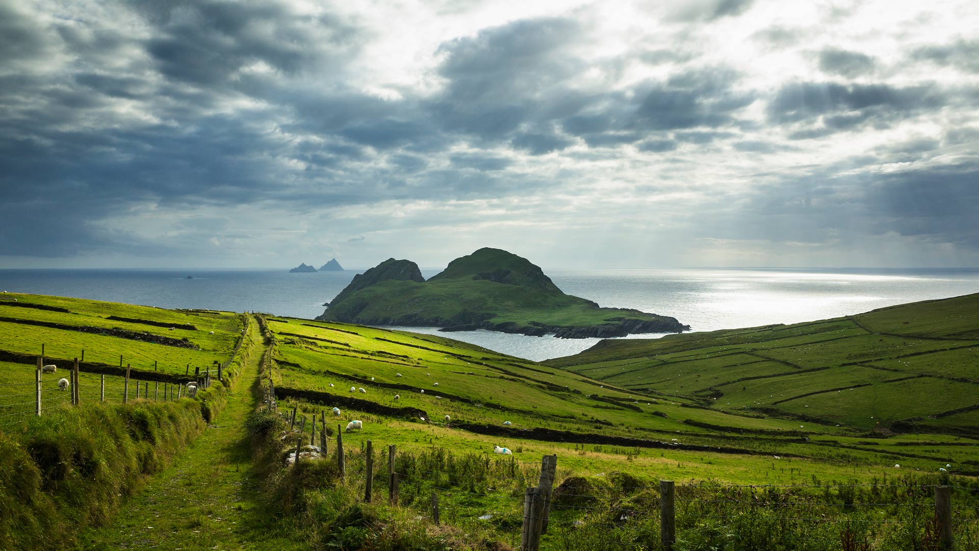 今天，让我们穿绿衣裳吧！|圣菲尼安湾，凯里郡，爱尔兰 |© Atlantide Phototravel/Getty Images