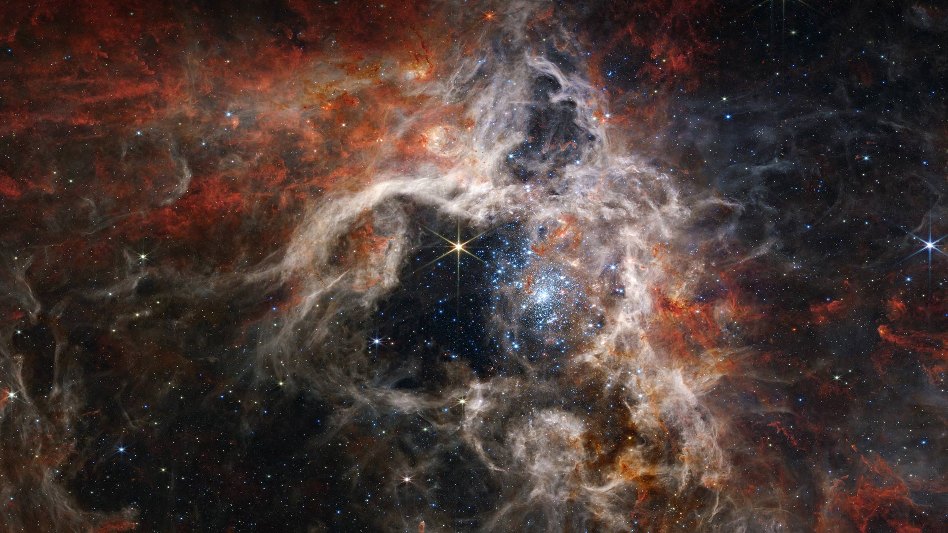 |狼蛛星云中形成的年轻恒星，詹姆斯·韦布空间望远镜 |© NASA, ESA, CSA, STScI, Webb ERO Production Team