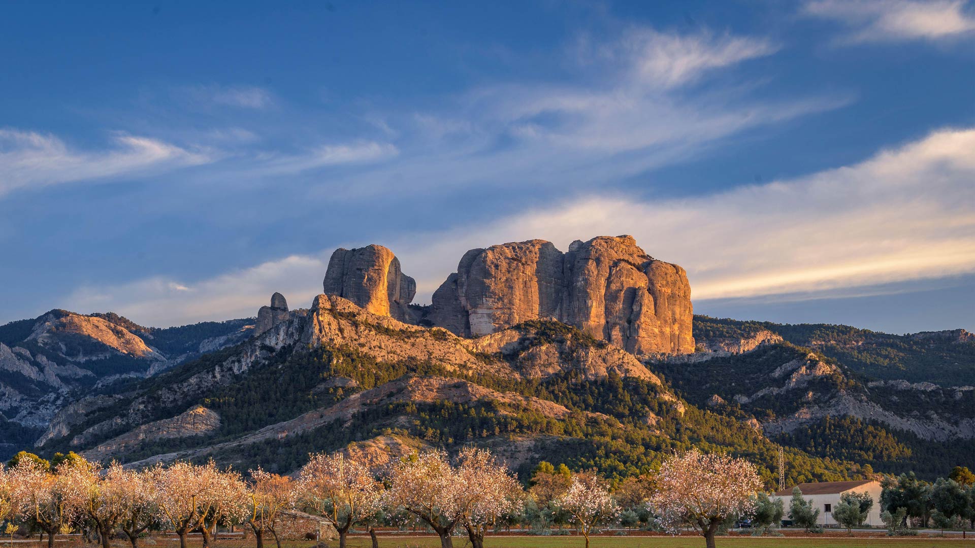 攀登新的高峰|Roques de Benet，埃尔斯港自然公园，加泰罗尼亚，西班牙 |© Sergi Boixader/Alamy Stock Photo