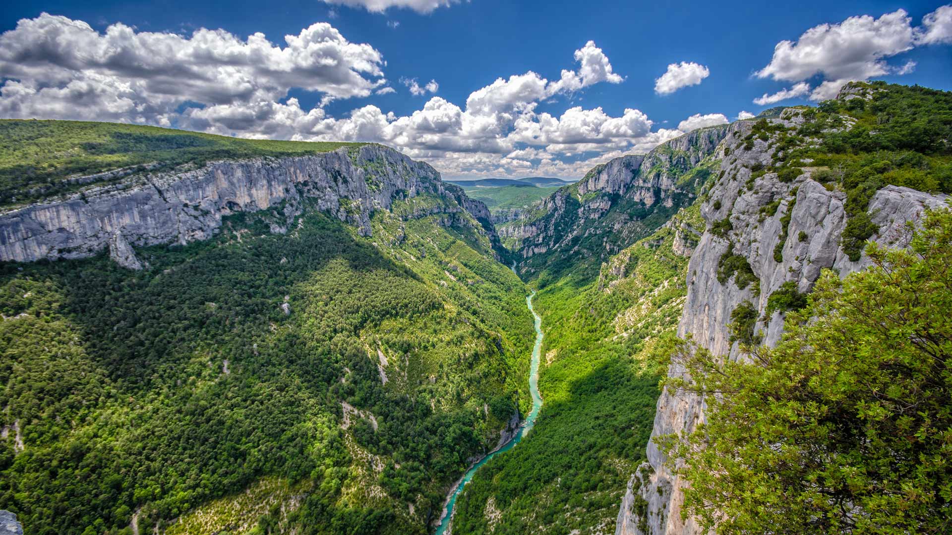 普罗旺斯大峡谷|韦尔东峡谷，普罗旺斯-阿尔卑斯-蓝色海岸，法国 |© luisapuccini/Getty Images