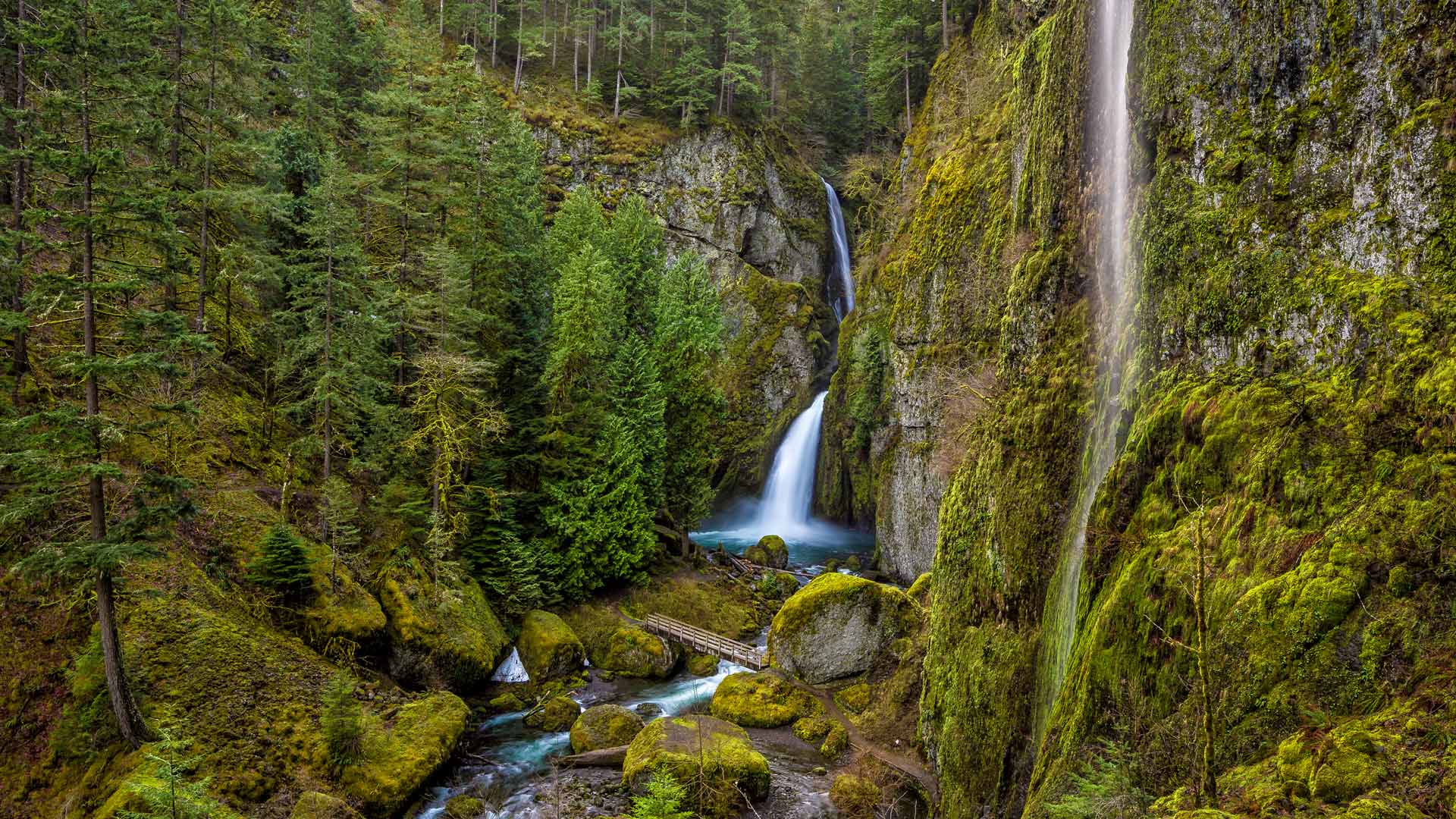 尽情地嬉戏玩水吧！|Wahclella Falls，哥伦比亚河峡谷，俄勒冈州，美国 |© Eric Vogt/Tandem Stills + Motion