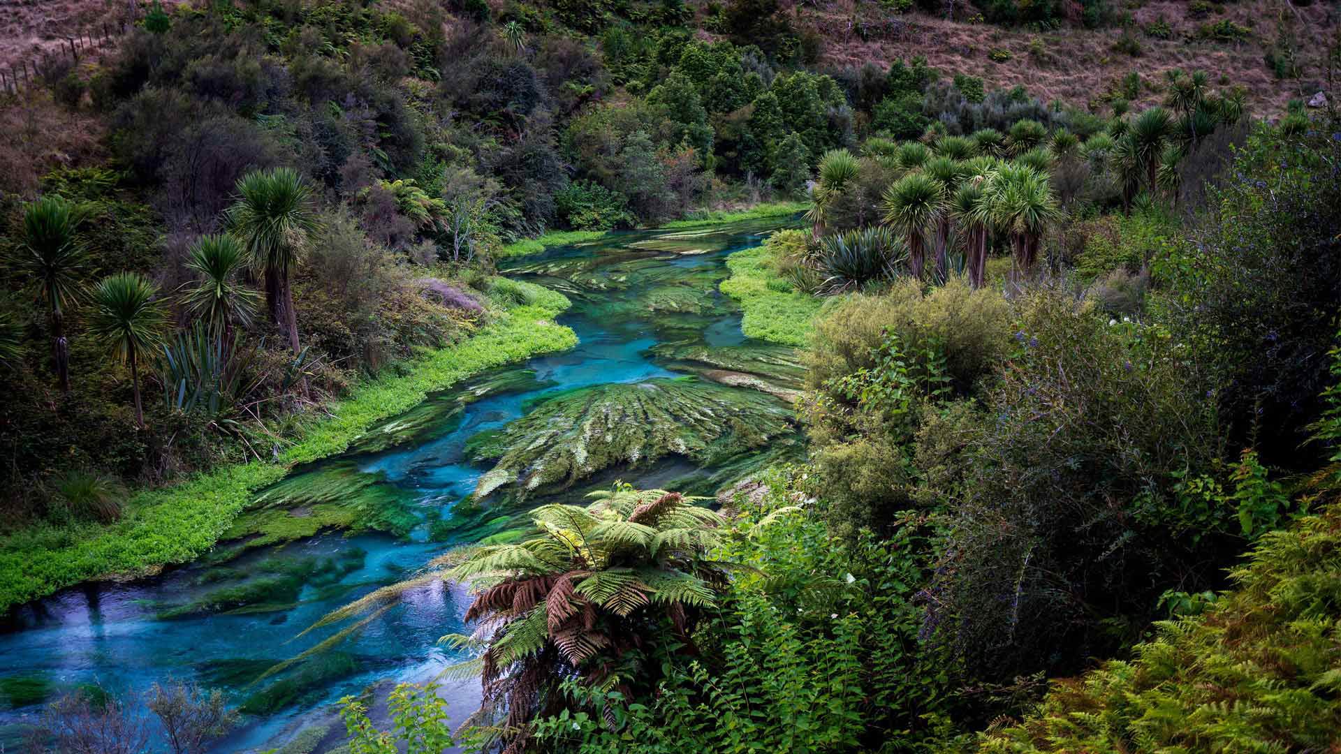 我们在庆祝“水”？|蓝泉，蒂怀霍步道，新西兰 |© Ian Beattie/Alamy Stock Photo