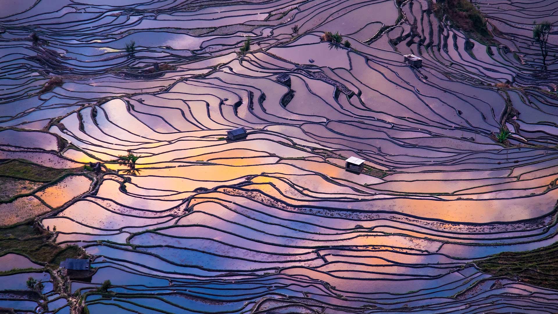 彩虹般的风景|梯田鸟瞰图，元阳，中国 |© AlexGcs/Getty Images